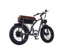 electric bicycle